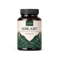 Vedali Shilajit — 120 Capsules